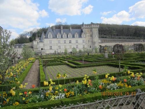 Ароматы, 11.04.2016 1302.JPG