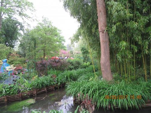 Нов. Ароматы 2 570.JPG