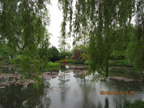 Нов. Ароматы 2 608.JPG