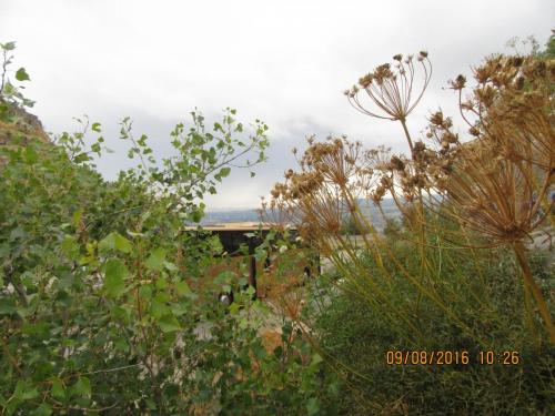 2GT 2016, 2 часть 854.JPG