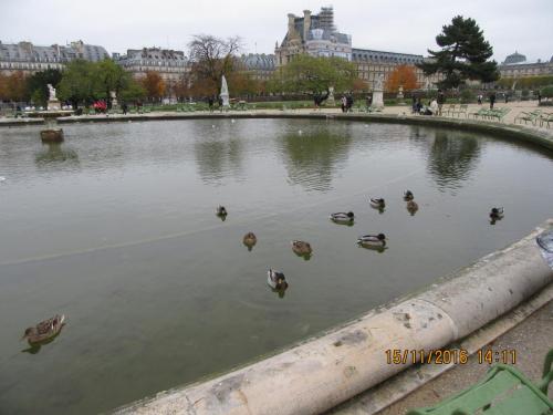 Божоле 2016 644.JPG