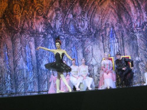 Лебединое озеро 159.JPG