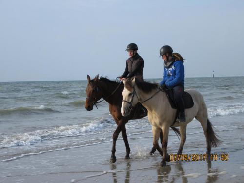 Нов. Ароматы 2 1185.JPG