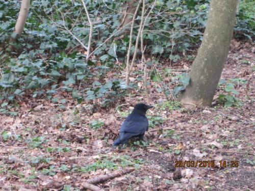 Париж март 2016 261.JPG