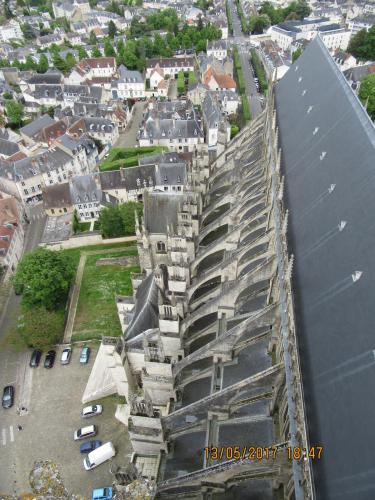 Ароматы 2 (2017) 1142.JPG