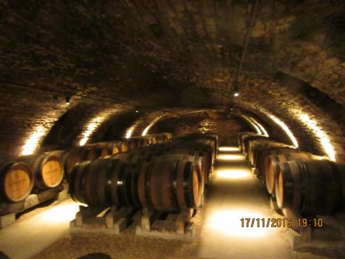 Божоле 2016 1622.JPG