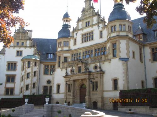 Ароматы 2 (2017) 2082.JPG