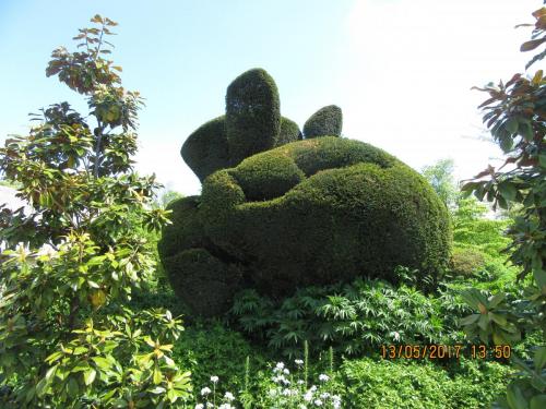 Ароматы 2 (2017) 925.JPG