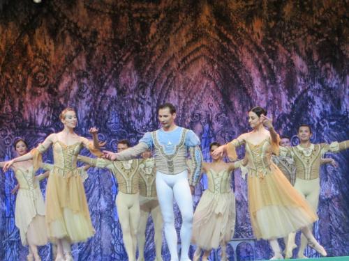 Лебединое озеро 024.JPG