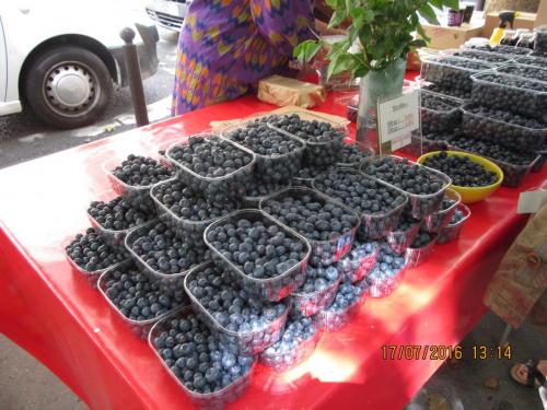 Великолепная Франция 2016 921.JPG