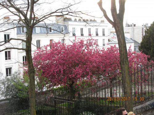 март, париж 1111.JPG