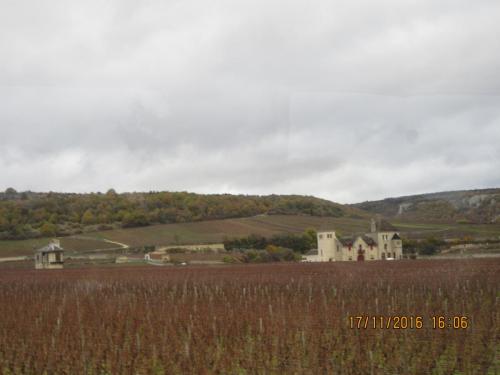 Божоле 2016 1426.JPG