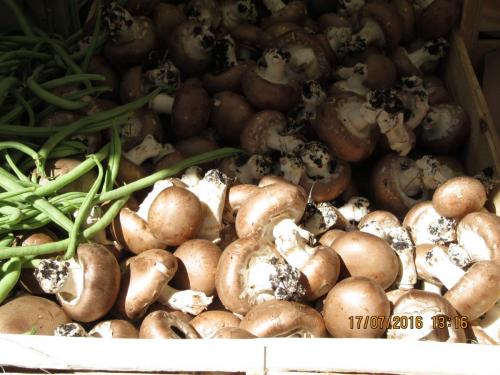 Великолепная Франция 2016 925.JPG