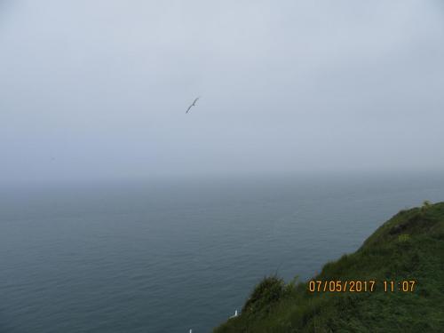 Нов. Ароматы 2 930.JPG