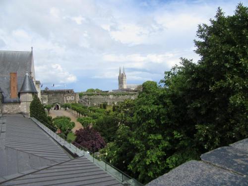 Ароматы 2 (2017) 377.JPG