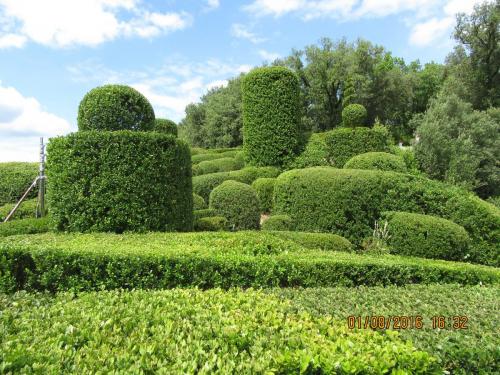 2GT 1 часть2016 1085.JPG