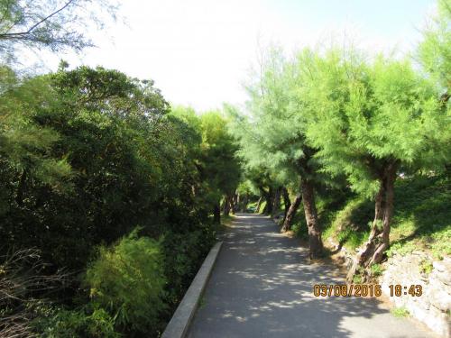 2GT 1 часть2016 1726.JPG