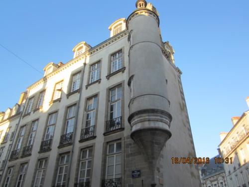 Ароматы, 11.04.2016 1253.JPG