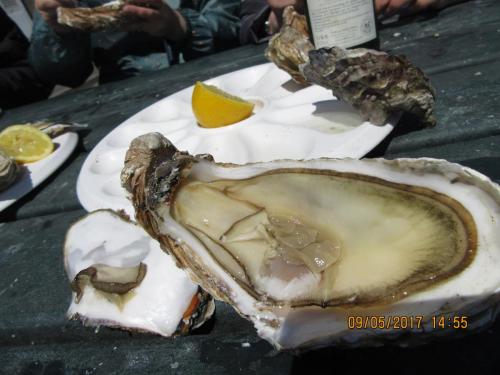 Нов. Ароматы 2 1868.JPG