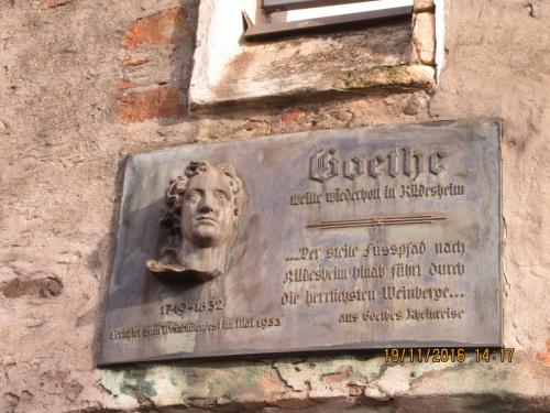 Божоле 2016 2258.JPG