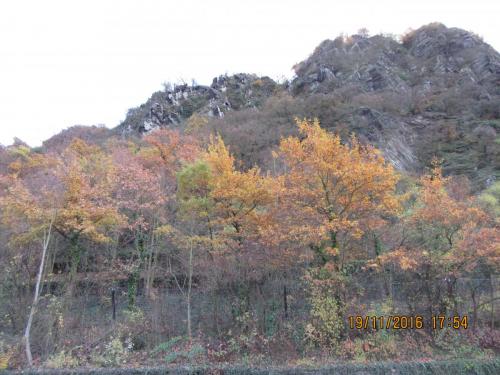 Божоле 2016 2353.JPG