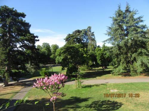 2 AS, 2 часть 246.JPG