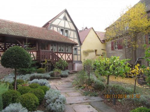 Божоле 2016 1765.JPG