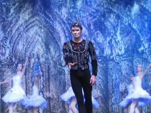 Лебединое озеро 095.JPG