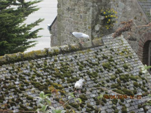 Ароматы, 11.04.2016 750.JPG