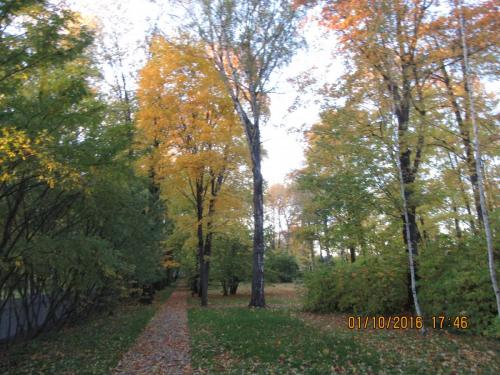 День музыки 007.JPG