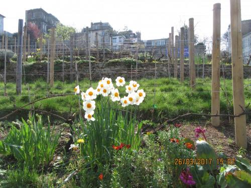 март, париж 085.JPG