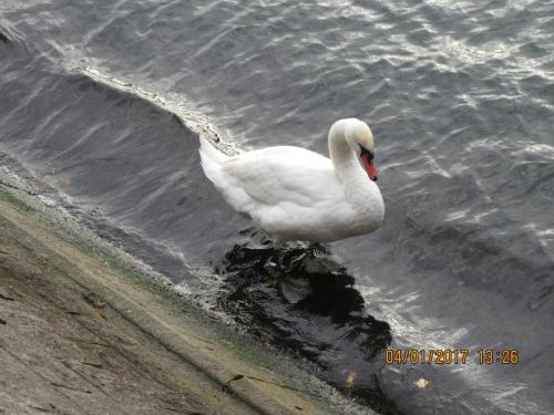 париж-2016-2017 2127.JPG