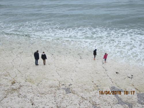 Ароматы, 11.04.2016 637.JPG