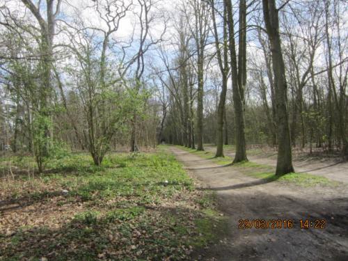 Париж март 2016 259.JPG