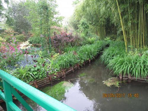 Нов. Ароматы 2 568.JPG