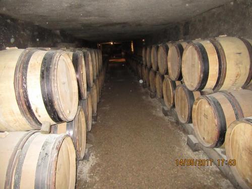 Ароматы 2 (2017) 1638.JPG