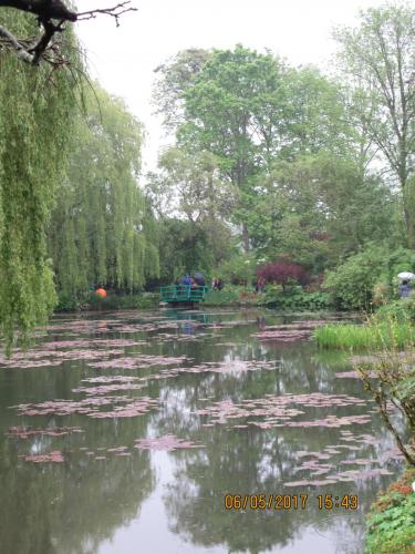 Нов. Ароматы 2 596.JPG