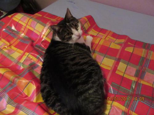 париж-2016-2017 1010.JPG