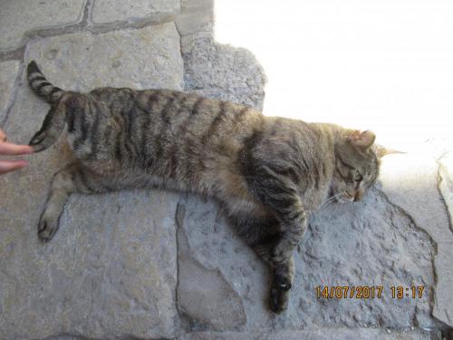 2 AS, 2 часть 052.JPG