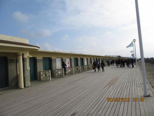 Нов. Ароматы 2 1152.JPG