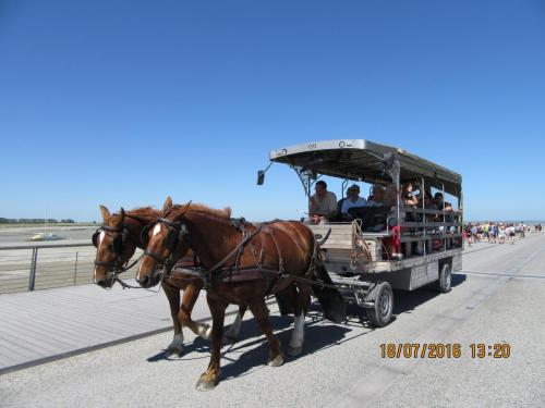 Великолепная Франция 2016 1003.JPG