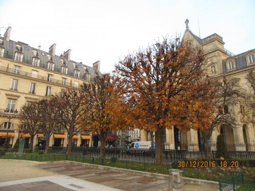 париж-2016-2017 679.JPG