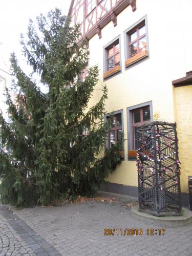 Божоле 2016 2426.JPG