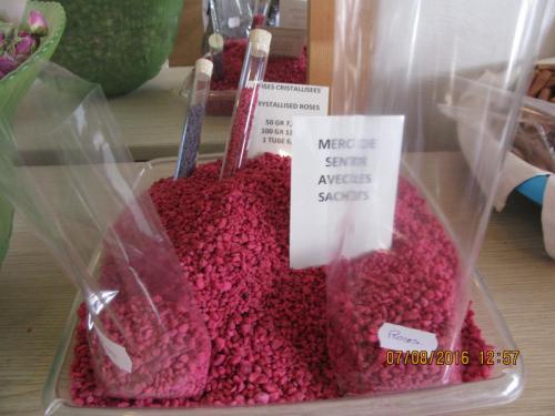 2GT 2016, 2 часть 253.JPG