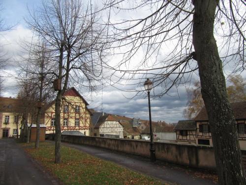 Божоле 2016 1698.JPG