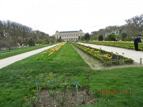 март, париж 1029.JPG