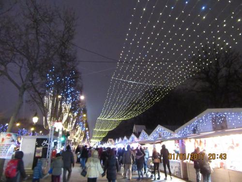 париж-2016-2017 1238.JPG