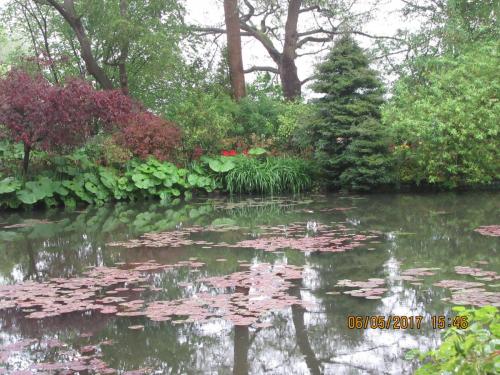 Нов. Ароматы 2 618.JPG