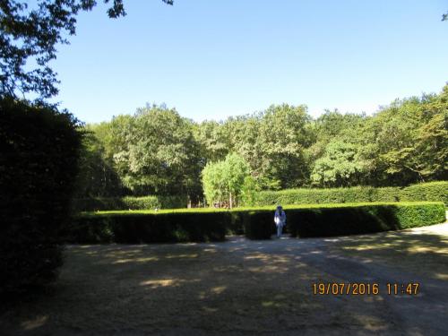 Великолепная Франция 2016 1310.JPG