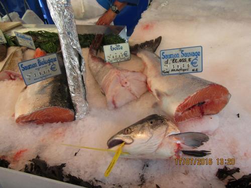 Великолепная Франция 2016 933.JPG